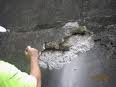 Spalling Picture