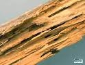 Termite Damage Picture